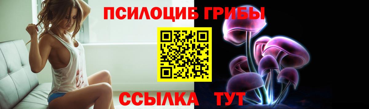 Галлюциногенные грибы Magic Shrooms Черняховск